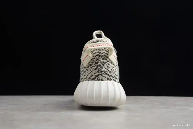 YEEZY Dove Boost 350 AQ4832 Adidas Turtle 0701